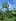 6618 m RESIDENTIAL FARM LOT, in Talisay, Lipa, Batangas