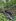 5.57 hectares Farm Lot For Sale in Lucban Quezon
