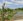 Ricefield Farm For Sale