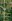 Prime Lot in Imus Boulevard