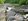 Farm Lot for Sale Beside River in Cavinti, Laguna