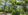 807 sqm Residential Lot For Sale in Pililla Rizal
