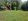 Farm Lot for Sale in Cavinti, Laguna