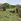 1.22 hecatares raw land for sale