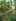 2,600sqm Titled Agricultural Lot 4 Sale  Near Aguinaldo Highway, Silang Cavite.50%DP,50% negotiable