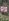 1020 sqm Residential Farm Lot For Sale