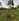891 sqm Lot for Sale in Lourdes, Panglao Bohol