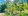 150 sqm Lot For Sale in Anda Bohol