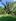 Farmlot for sale 600sqm 3000/sqm malapit sa h8ghway at beach