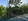Farm Lot For Sale in Bgy. Mangas, Alfonso, Cavite Near Tagaytay