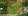2,1 Hectares Farm Lot For Sale in San Ildefonso Bulacan