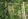 Residential Lot in  Babak, Samal Island