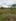 Lot for sale in Westwood grand dungon jaro iloilo city