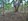 500 sqm Farm Lot For Sale in Tanay Rizal