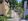Residential lot property.