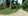 RESIDENTIAL LOT FOR SALE IN ANISLAG CORELLA BOHOL