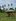 1,000 sqm Farm Lot For Sale in Indang Cavite