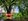 78 sqm Residential Lot for sale in Richtown, Samal, Bataan