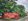 465 sqm Residential End Lot for sale in Richtown, Samal, Bataan
