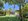 Operational Beach Resort for Sale