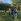 residential farmlot in tanay 4.000 per sqm 500sqm minimum cut