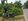 200 sqm Residential Lot For Sale in Tagbilaran Bohol