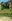 RESIDENTIAL LOT FOR SALE IN ANISLAG CORELLA BOHOL