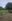 FARM LOT FOR SALE | CLEAN TITLE | READY FOR INVESTMENT