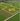 FARM LOT FOR SALE IN TARLAC CITY!