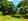 Farm Lot for Sale in Sta. Maria Bulacan