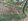 1000sqm Farm Lot for sale in DAGAMI LEYTE