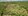 San Vicente Farm Phase 3: Affordable Titled Farm Lots in Quezon
