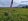 36000 sqm Residential Farm For Sale By Owner in Pili Camarines Sur