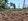 2.1hec farm lot in dagami leyte