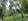 3000sqm Farmlot in burauen leyte