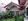 RARE PROPERTY BEHIND JOLLIBEE STA. CLARA, STA. MARIA BULACAN