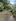 Farm Lot 1M Only, Talakag Bukidnon