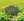 farmland for sale in santo tomas batangas more or less 10 hectares
