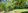 Gated Residential Farm Lot! Free Transfer of TItle! 150 Sq.m.