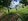Residential Lot 500k El Salvador City Misamis Oriental