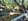 Residential Lot For Sale in San Pedro Laguna