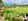 1.59 Hectares  Farm Lot For Sale in Tayabas Quezon
