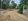 Agricultural farm lot for sale with fruits bearing and near Brgy.Road