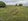 2.48 hectares Agricultural Farm For Sale in Pili Camarines Sur