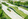 Premium Residential Lot in Trava Greenfield City, Santa Rosa