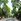 Prime Vacant Lot for Sale in Ayala Alabang Village