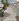 2.5M Commercial Lot Buhangin Davao city