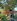 Commercial Nature Resort for Sale in Liliw Laguna | Income-Generating, Fully Furnished