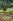 300 sqm "LOT FOR SALE" in Club Morocco Beach & Country Club, SUBIC ZAMBALES