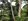 4 hectares Residential Farm For Sale in Carmen Bohol
